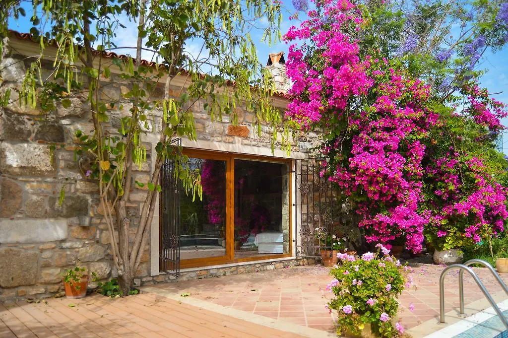 Villa Mandarin By Important Group Travel Bitez