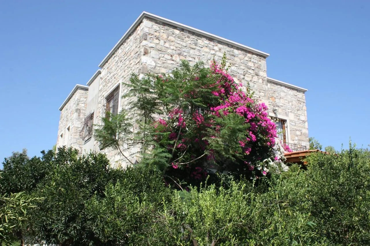 Villa Mandarin By Important Group Travel Bitez